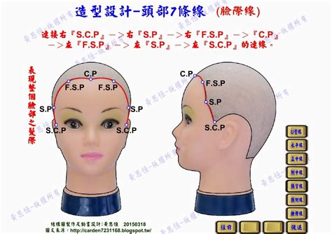 頭部七條基準線中，側頭線是